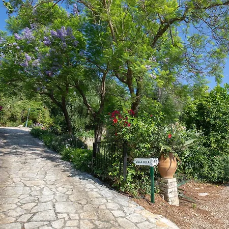 Villa Ionian Garden - Olea Mpenitses