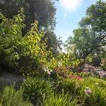 Ionian Garden - Olea ヴィラ