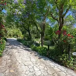 Ionian Garden - Olea Mpenitses