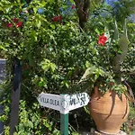 Ionian Garden - Olea Villa *