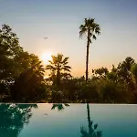 Ionian Garden - Olea *