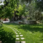 Ionian Garden - Olea