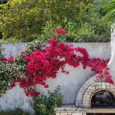 Ionian Garden - Olea * Benitses (Corfu)