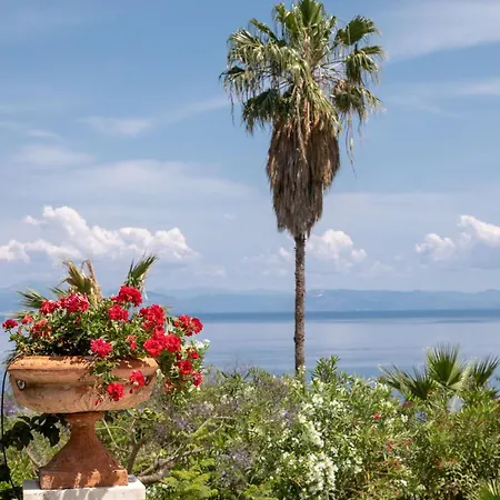 Ionian Garden - Olea Villa