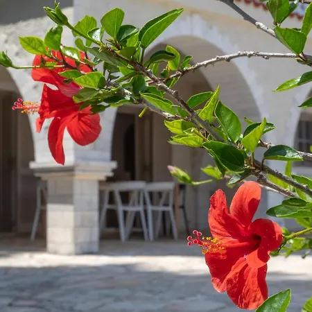 Villa Ionian Garden - Olea *