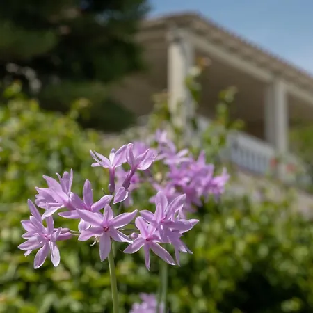 Villa Ionian Garden - Olea Benitses (Corfu)