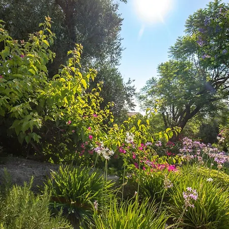Ionian Garden - Olea Vilă