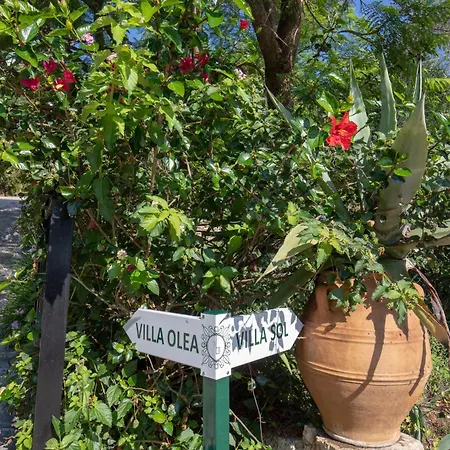 Ionian Garden - Olea Vilă *