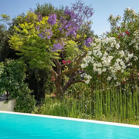 Ionian Garden - Olea *