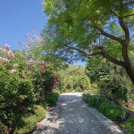 Ionian Garden - Olea Villa Benitses (Corfu)