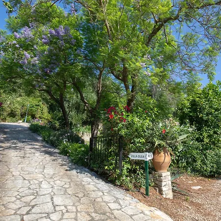 Villa Ionian Garden - Olea Benitses (Corfu)