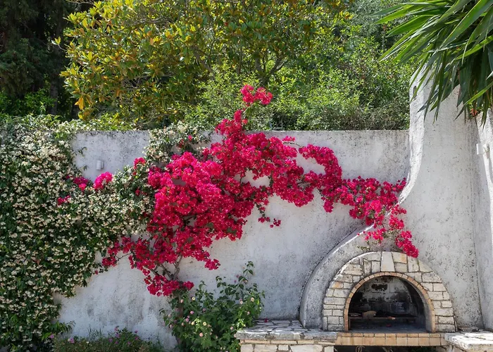Ionian Garden - Olea * Benitses (Corfu)