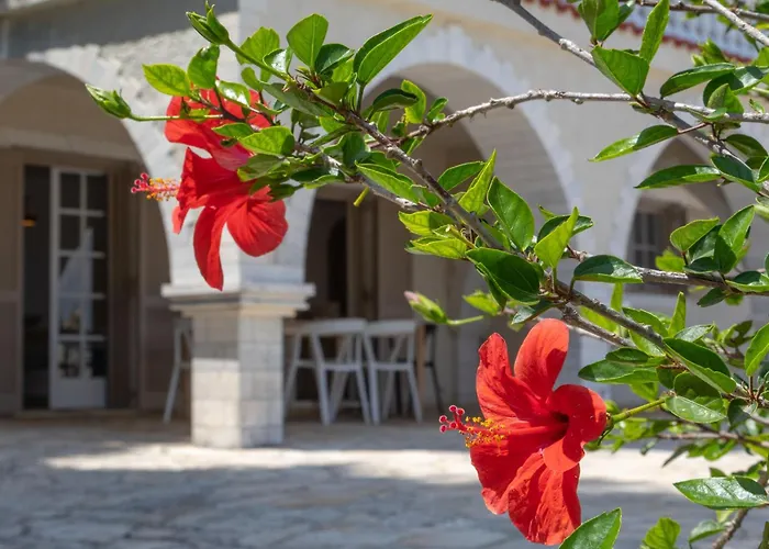Villa Ionian Garden - Olea *