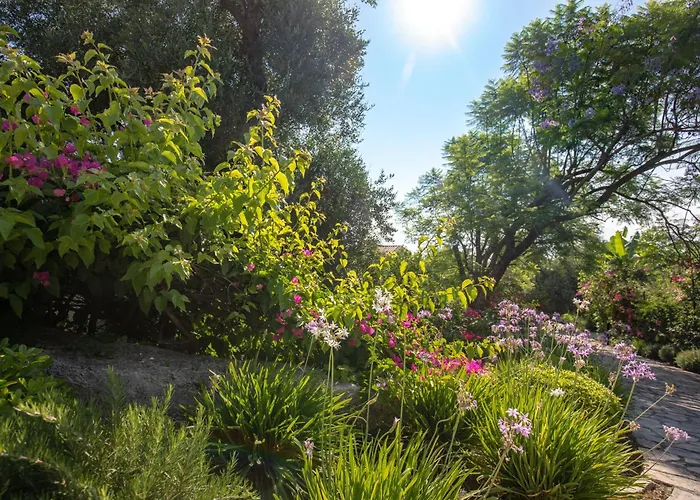 Ionian Garden - Olea Villa