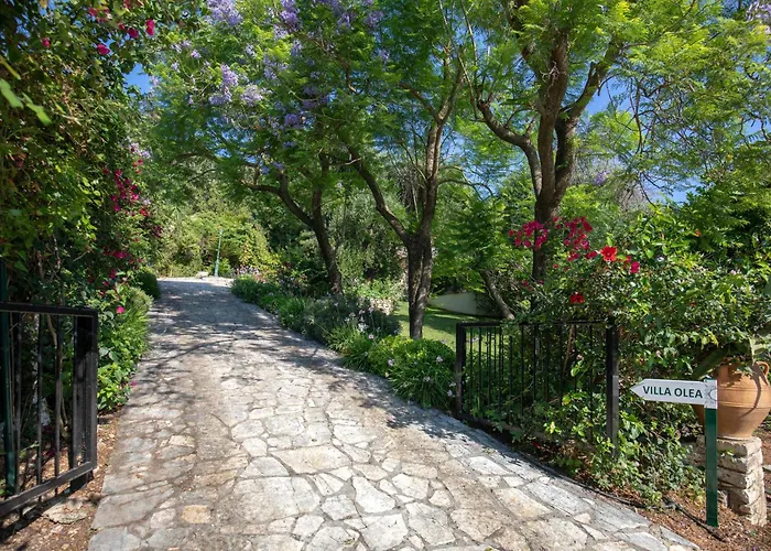 Ionian Garden - Olea Benitses (Corfu)