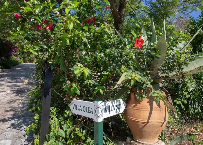 Ionian Garden - Olea Villa *