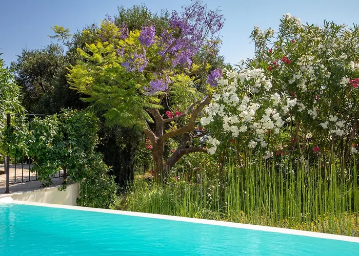 Ionian Garden - Olea *