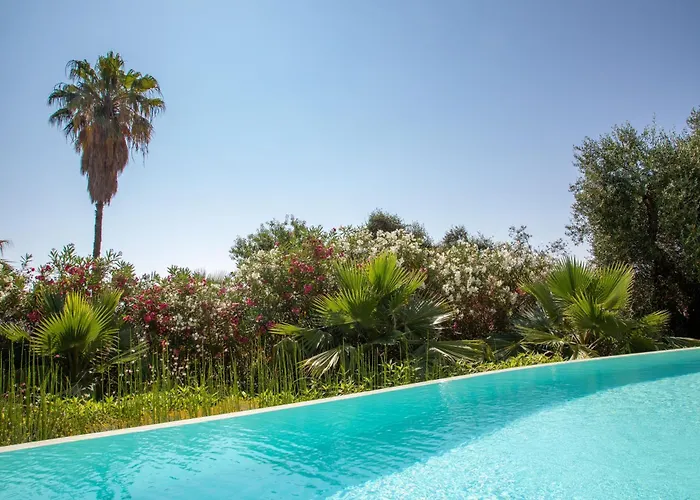 Ionian Garden - Olea *