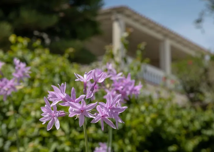 Villa Ionian Garden - Olea Benitses (Corfu)